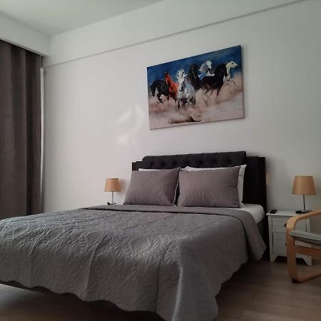 Luxury City Center Apartment - Garofita Romana Bucarest Esterno foto