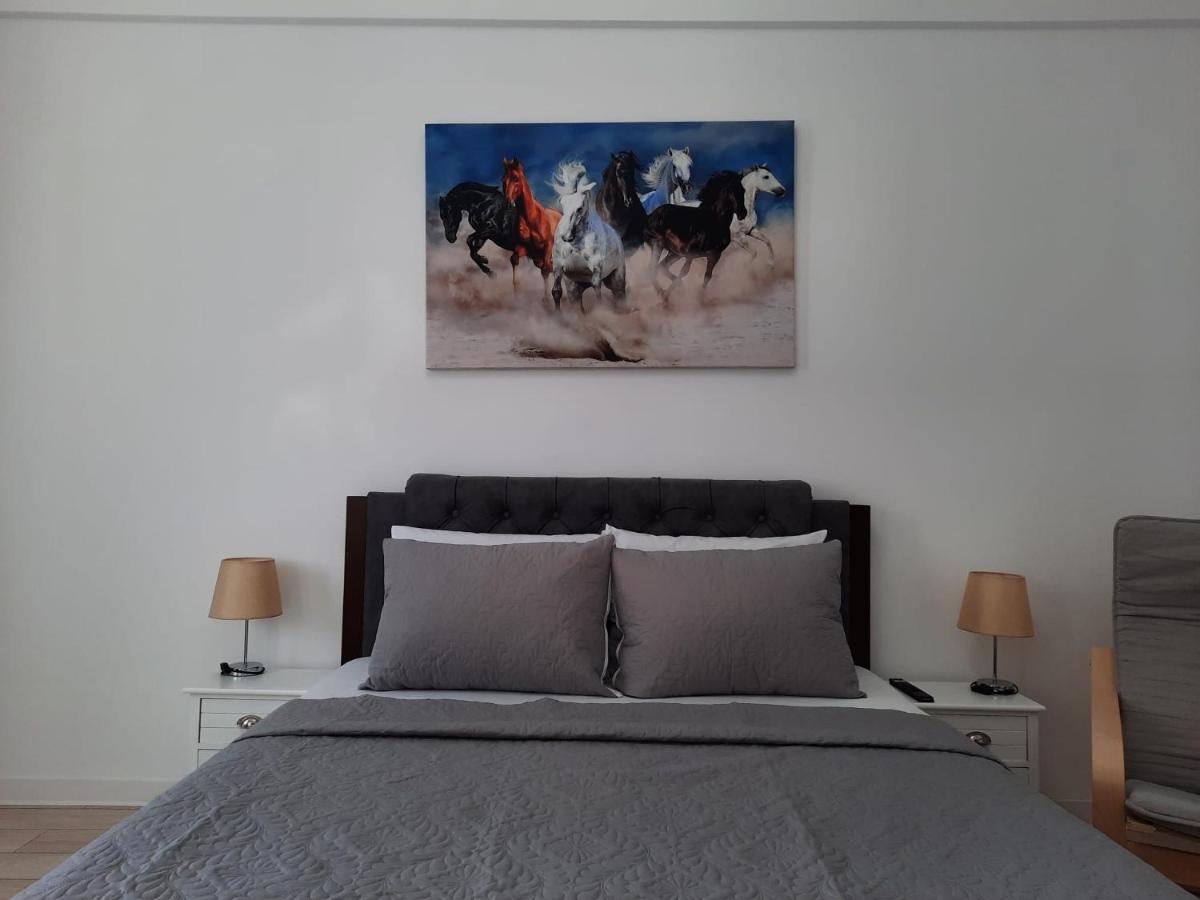 Luxury City Center Apartment - Garofita Romana Bucarest Esterno foto
